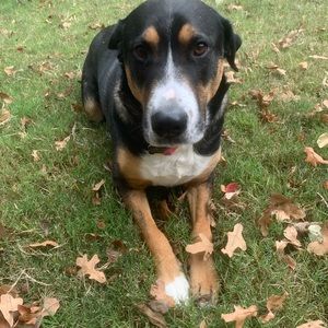 Meet your Posher, Colleen